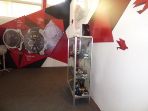 P1000070 